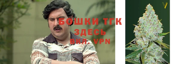 ALPHA PVP Алексин